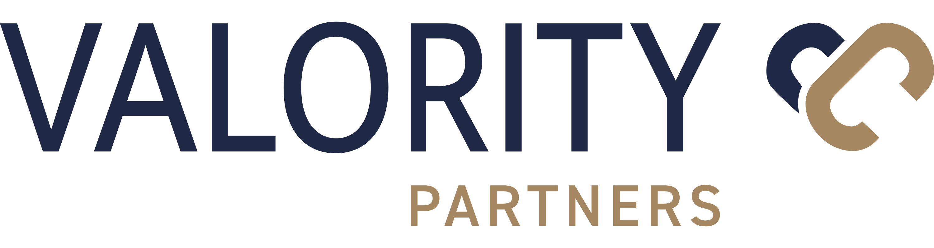 Logo Valority Partners