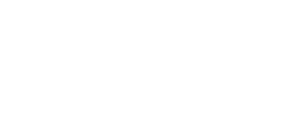 Logo Valority Partners